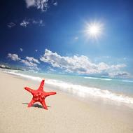 ���˱��������⣬4���ؼ�����������