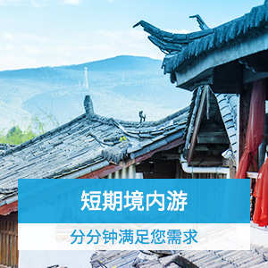 PICC境内旅行险华夏游方案二