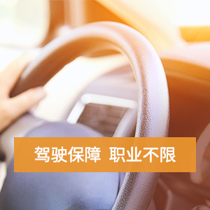 平安驾驶人意外险实惠型 含人身救援