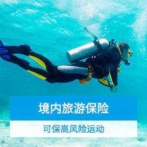 太平洋-境内旅行险5项补贴计划一