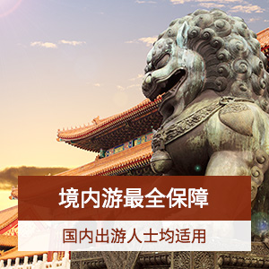 京东安联-安途中国旅行险计划一