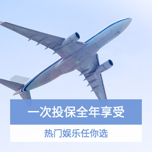商旅护航全球行基础计划（一年多次往返）