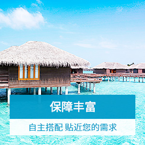 新一站境外旅行险自选保障