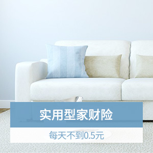 新一站家财险20万保障