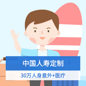 中国人寿-跟团/观光境内旅行险计划4