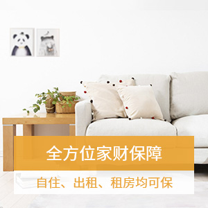 新一站自住家财险