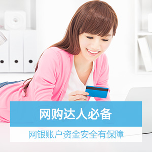 新一站网银资金账户损失险