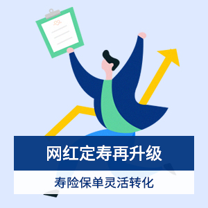 大麦2021定期寿险