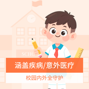 小学童2号学平险